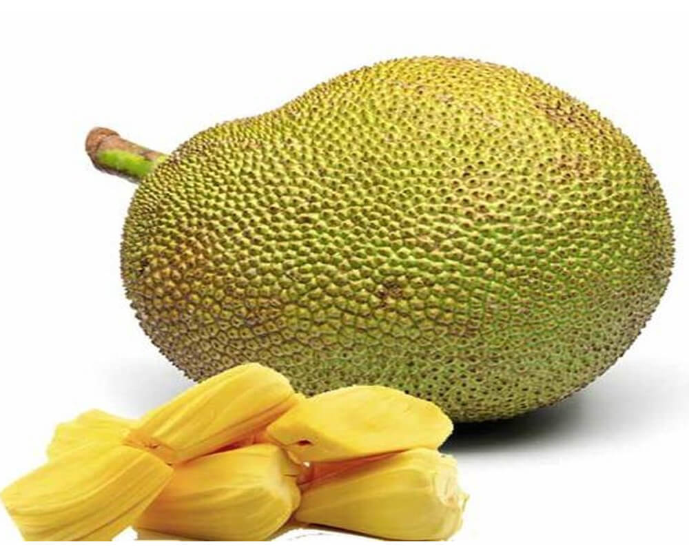 Jackfruit