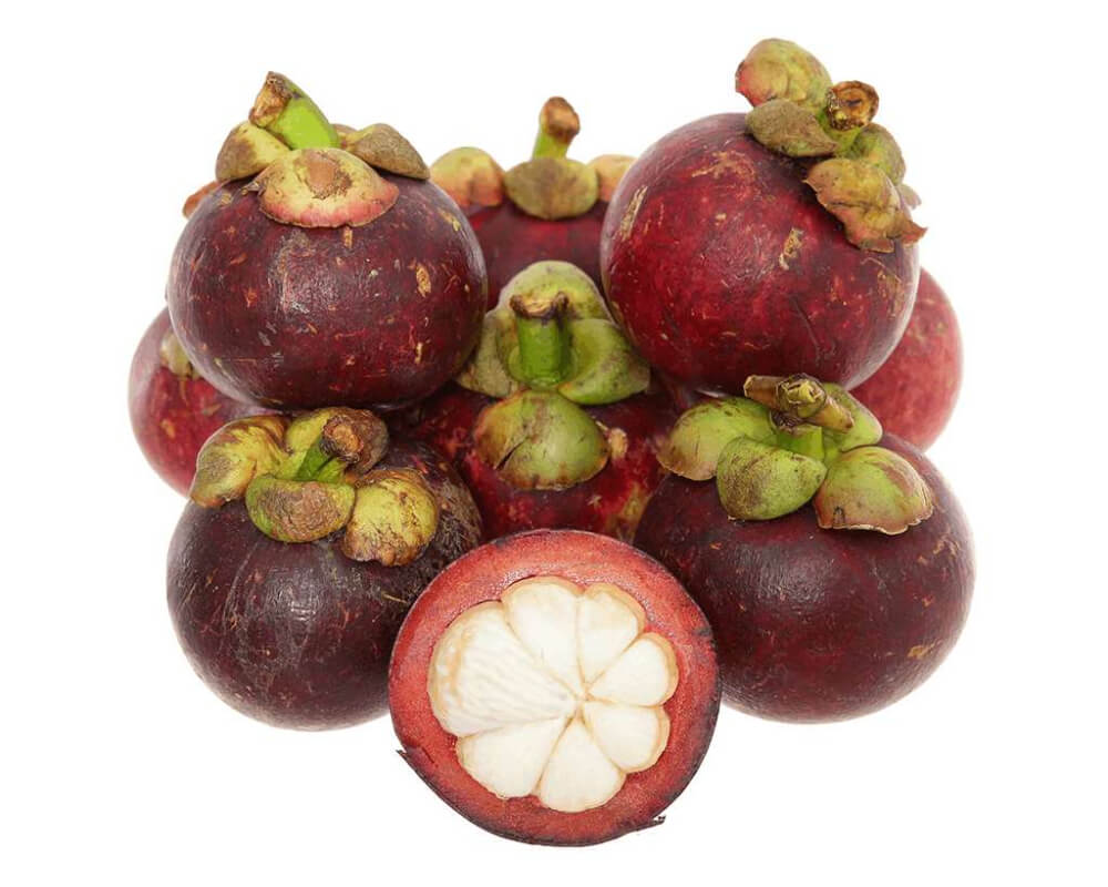 Mangosteen